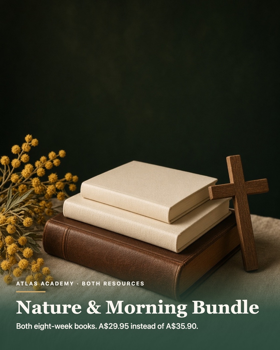 Cover for the Nature and Morning bundle.